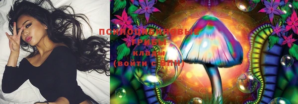 винт Надым
