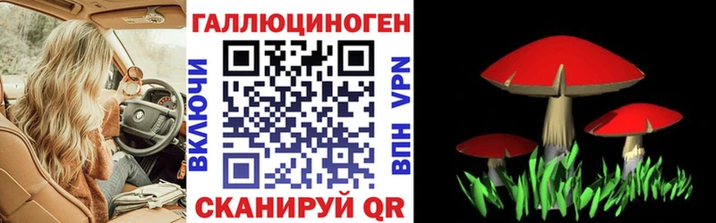 Галлюциногенные грибы GOLDEN TEACHER  KRAKEN ссылки  Чулым 